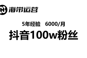 资深自媒体运营