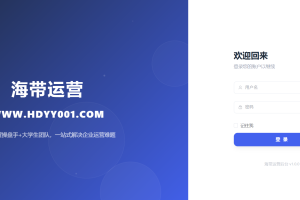 海带运营/AI运营工具介绍